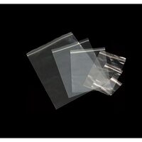 Pungi ZIP 215x300 100/set